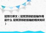 琵琶行原文（琵琶頂部的弦軸作用是什么 琵琶頂部的弦軸的相關(guān)知識(shí)）