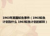 1963年英國(guó)鯰魚事件（1963鯰魚計(jì)劃指什么 1963鯰魚計(jì)劃的解釋）