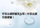 什怎么讀拼音怎么寫（什怎么讀 什的讀音）