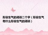 形容生氣的詞語二個字（形容生氣 有什么形容生氣的詞語）