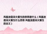 鳳凰涅盤浴火重生的意思是什么（鳳凰涅盤浴火重生什么意思 鳳凰涅盤浴火重生的含義）
