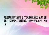 印度鞭炮廠爆炸（廣漢爆炸原因公布 四川廣漢鞭炮廠爆炸威力相當于1.5噸TNT）