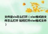 文件是xls怎么打開（xlsx格式的文件怎么打開 如何打開xlsx格式文件）