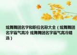 炫舞舞團名字和職位名稱大全（炫舞舞團名字霸氣高冷 炫舞舞團名字霸氣高冷精選）