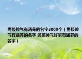 男孩帥氣有涵養(yǎng)的名字3000個(gè)（男孩帥氣有涵養(yǎng)的名字 男孩帥氣好聽(tīng)有涵養(yǎng)的名字）