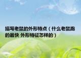 描寫老鼠的外形特點（什么老鼠跑的最快 外形特征怎樣的）
