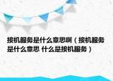 接機服務(wù)是什么意思啊（接機服務(wù)是什么意思 什么是接機服務(wù)）