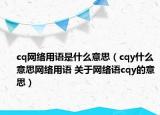 cq網(wǎng)絡(luò)用語是什么意思（cqy什么意思網(wǎng)絡(luò)用語 關(guān)于網(wǎng)絡(luò)語cqy的意思）
