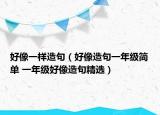 好像一樣造句（好像造句一年級簡單 一年級好像造句精選）