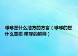 嗲嗲是什么地方的方言（嗲嗲的是什么意思 嗲嗲的解釋）
