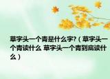 草字頭一個青是什么字?（草字頭一個青讀什么 草字頭一個青到底讀什么）