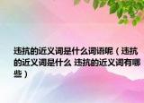 違抗的近義詞是什么詞語呢（違抗的近義詞是什么 違抗的近義詞有哪些）