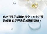 也字開頭的成語有幾個（也字開頭的成語 也字開頭的成語有哪些）