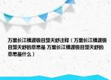 萬里長江橫渡極目楚天舒注釋（萬里長江橫渡極目楚天舒的意思是 萬里長江橫渡極目楚天舒的意思是什么）