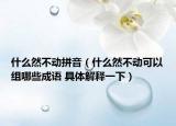 什么然不動拼音（什么然不動可以組哪些成語 具體解釋一下）