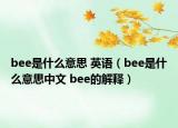 bee是什么意思 英語（bee是什么意思中文 bee的解釋）
