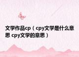 文學作品cp（cpy文學是什么意思 cpy文學的意思）