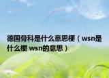 德國(guó)骨科是什么意思梗（wsn是什么梗 wsn的意思）