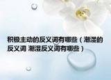 積極主動的反義詞有哪些（潮濕的反義詞 潮濕反義詞有哪些）