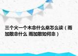 三個火一個木念什么燊怎么讀（雨加散念什么 雨加散如何念）