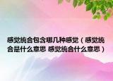 感覺(jué)統(tǒng)合包含哪幾種感覺(jué)（感覺(jué)統(tǒng)合是什么意思 感覺(jué)統(tǒng)合什么意思）