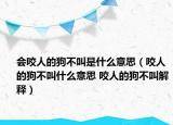 會咬人的狗不叫是什么意思（咬人的狗不叫什么意思 咬人的狗不叫解釋）