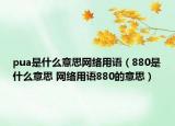 pua是什么意思網(wǎng)絡用語（880是什么意思 網(wǎng)絡用語880的意思）