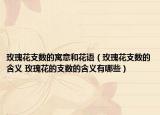 玫瑰花支數(shù)的寓意和花語（玫瑰花支數(shù)的含義 玫瑰花的支數(shù)的含義有哪些）