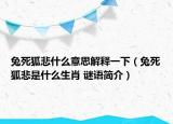 兔死狐悲什么意思解釋一下（兔死狐悲是什么生肖 謎語簡介）