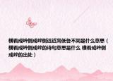 橫看成嶺側(cè)成峰側(cè)遠(yuǎn)近高低各不同是什么意思（橫看成嶺側(cè)成峰的詩句意思是什么 橫看成嶺側(cè)成峰的出處）