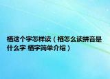 棲這個(gè)字怎樣讀（棲怎么讀拼音是什么字 棲字簡(jiǎn)單介紹）