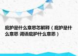 庇護是什么意思怎解釋（庇護是什么意思 詞語庇護什么意思）