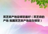 黑芝麻產(chǎn)地是哪里最好（黑芝麻的產(chǎn)地 我國黑芝麻產(chǎn)地是在哪里）