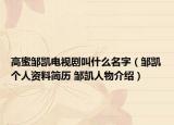 高蜜鄒凱電視劇叫什么名字（鄒凱個(gè)人資料簡(jiǎn)歷 鄒凱人物介紹）