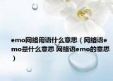 emo網(wǎng)絡(luò)用語(yǔ)什么意思（網(wǎng)絡(luò)語(yǔ)emo是什么意思 網(wǎng)絡(luò)語(yǔ)emo的意思）