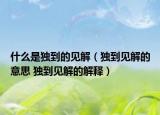 什么是獨到的見解（獨到見解的意思 獨到見解的解釋）