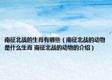 南征北戰(zhàn)的生肖有哪些（南征北戰(zhàn)的動物是什么生肖 南征北戰(zhàn)的動物的介紹）