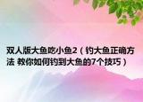 雙人版大魚吃小魚2（釣大魚正確方法 教你如何釣到大魚的7個技巧）