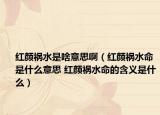 紅顏禍水是啥意思?。t顏禍水命是什么意思 紅顏禍水命的含義是什么）