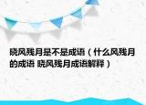 曉風殘月是不是成語（什么風殘月的成語 曉風殘月成語解釋）