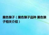 黑色猴子（黑色猴子品種 黑色猴子相關介紹）