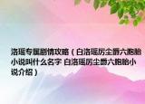 洛瑤專屬劇情攻略（白洛瑤厲塵爵六胞胎小說叫什么名字 白洛瑤厲塵爵六胞胎小說介紹）