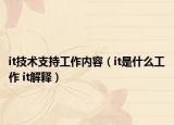 it技術支持工作內容（it是什么工作 it解釋）
