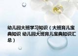 幼兒園大班學(xué)習(xí)知識（大班育兒寶典知識 幼兒園大班育兒寶典知識匯總）