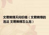 文君嫩綠天問(wèn)價(jià)格（文君嫩綠的泡法 文君嫩綠怎么泡）