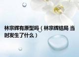 林宗輝有原型嗎（林宗輝結(jié)局 當時發(fā)生了什么）