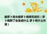 拔蘿卜男女拔蘿卜視頻無遮攔（蘿卜喝醉了會變成什么 蘿卜有什么作用）