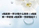 x檔案第一季18集什么意思（x檔案第一季劇情 x檔案第一季劇情簡介）