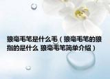 狼毫毛筆是什么毛（狼毫毛筆的狼指的是什么 狼毫毛筆簡單介紹）