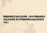 碗蓮的養(yǎng)殖方法和注意事項（多葉蘆薈的養(yǎng)殖方法和注意事項 多葉蘆薈的養(yǎng)殖方法和注意事項介紹）